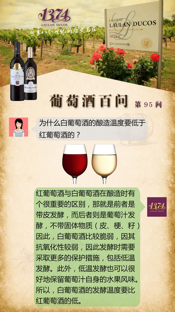 白葡萄酒的酿造温度低于红葡萄酒的原因